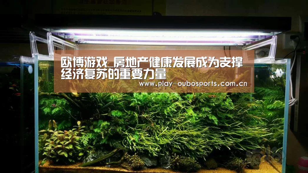 欧博游戏